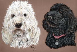 Pet Portraits